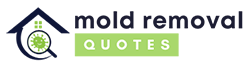 Carmel Mold Removal Specialists
